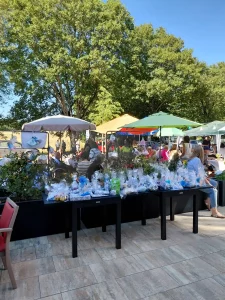 20260724-Wettstetten-2